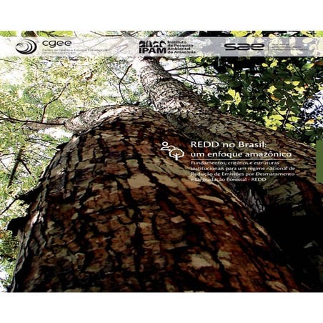 Redd no brasil__um_enfoque_amazônico__fundamentos,_critérios_e_estruturas_institucionais_para_um_regime_nacional_de_redução_de_emissões_por_desmatamento_e_degradação_florestal_-_redd