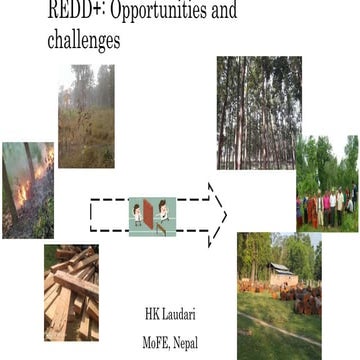 REDD+: Opportunties and Challenges