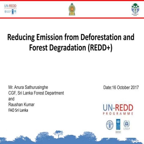 Reducing Emission from Deforestation and Forest Degradation (REDD+)