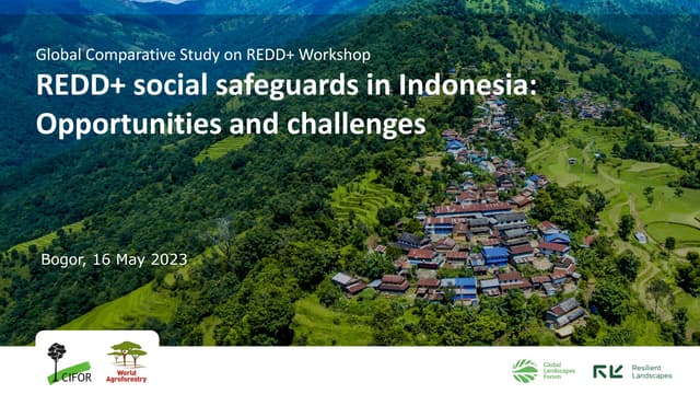 thumbnail of REDD+ social safeguards in Indonesia: Opportunities and challenges