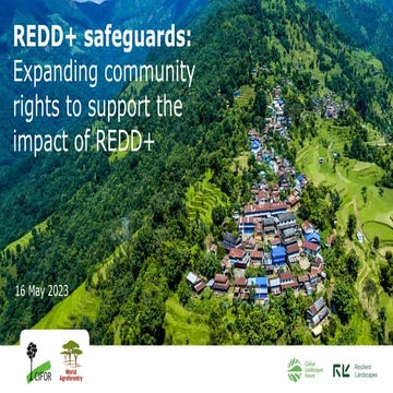 REDD+ social safeguards in Indonesia: Opportunities and challenges | PDF