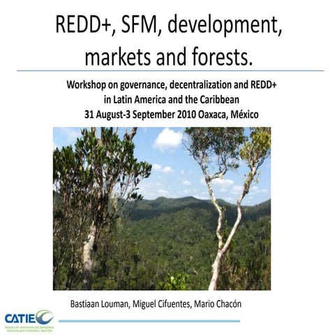 CATIE Presentation on Implementation of REDD+