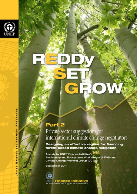 REDDy Set g\Grow p\Part2: Private Sector suggestions for International Climate Change negotiators