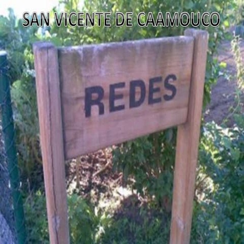 Redes, caamouco