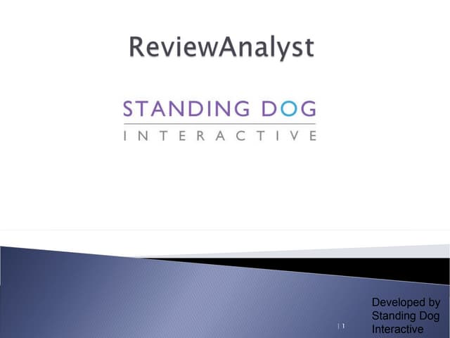 ReviewAnalyst presentation
