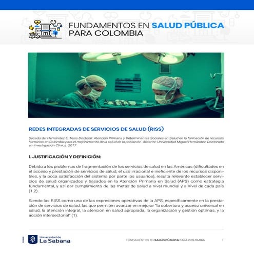 Redes Integradas de Servicios de Salud (RISS), Colombia | PPTX