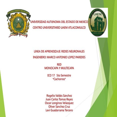 Redes neuronales multicapa y monocapa