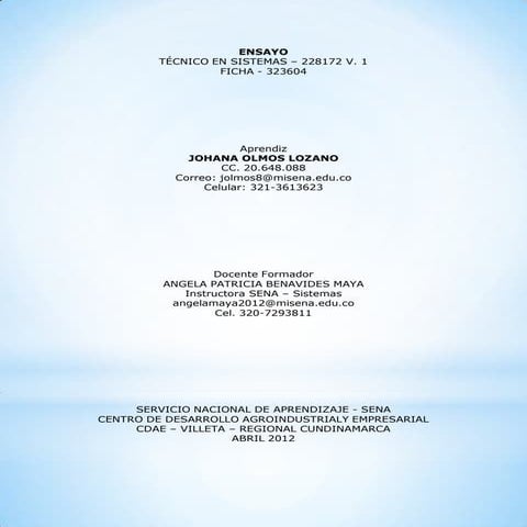 Redes sociales ensayo