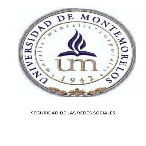 Redes sociales ensayo argumentativo