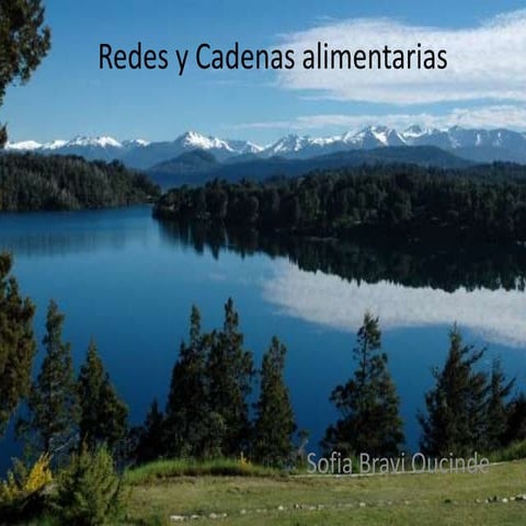 Redes y cadenas_alimentarias_chofi