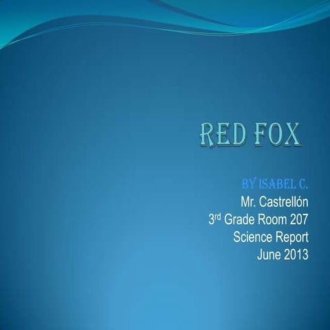 Red Fox | PPTX