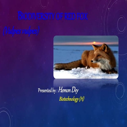 Biodiversity of Red Fox | PPTX