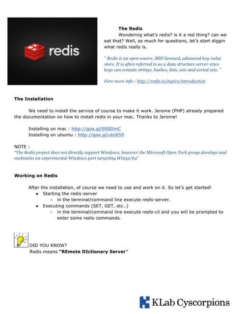 Redis Set Go