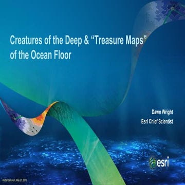 Creatures of the Deep and Treasure Maps of the Ocean Floor