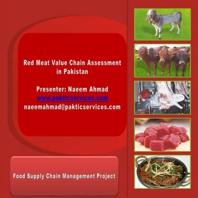 Five forces model of Bengel Meat | DOCX