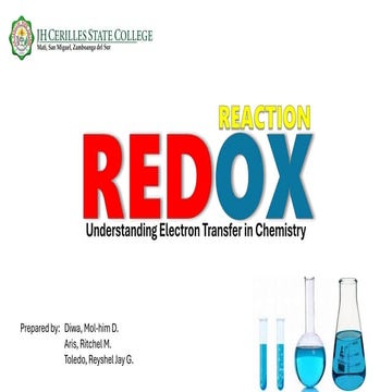 Class 11 Chapter 8 Redox Reactions.pptx