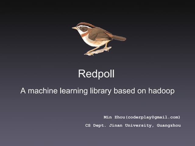 Redpoll