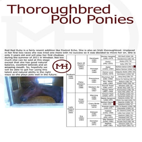 Red Red Ruby - Youngster UK