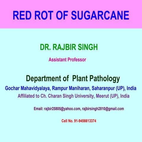 Red rot of sugarcane
