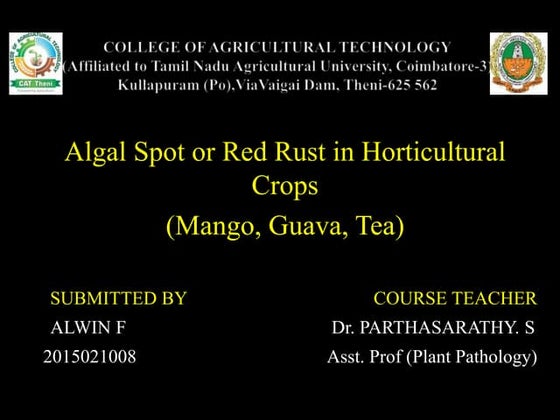 Ear cockle of wheat | PPT