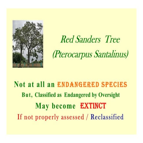 Red sanders is not an Endangered Species. Representation to IUCN by RP ...