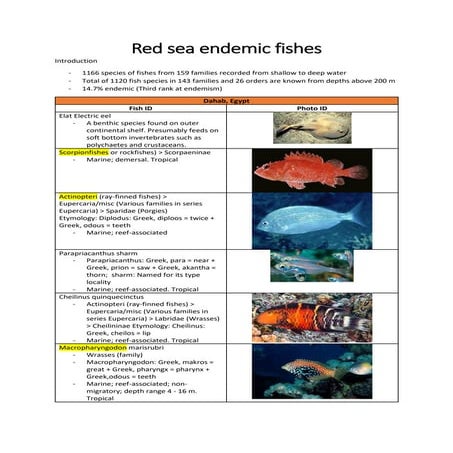 Red sea endemic fishes in Egyptian coast