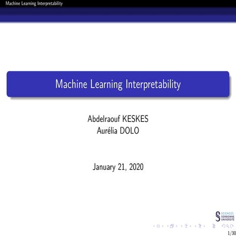 Machine Learning Interpretability / Explainability