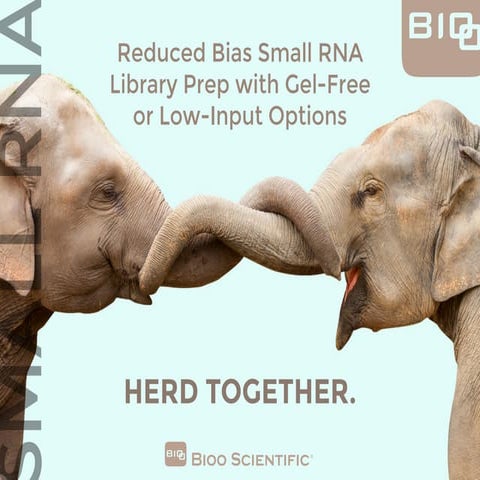 Bioo Scientific - Reduced Bias Small RNA Library Prep with Gel-Free or Low-In...