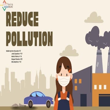 Effective Strategies to Reduce Pollution and Protect the Environment | PDF