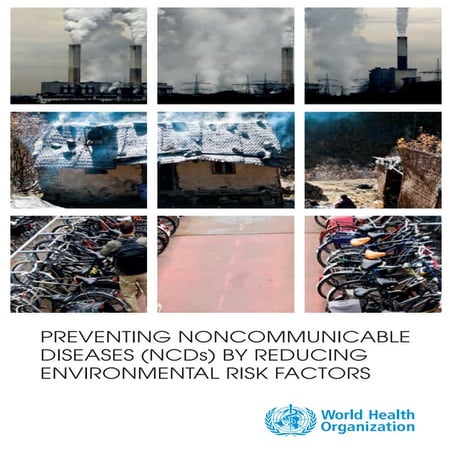 Risk factors for NCDs | PPTX