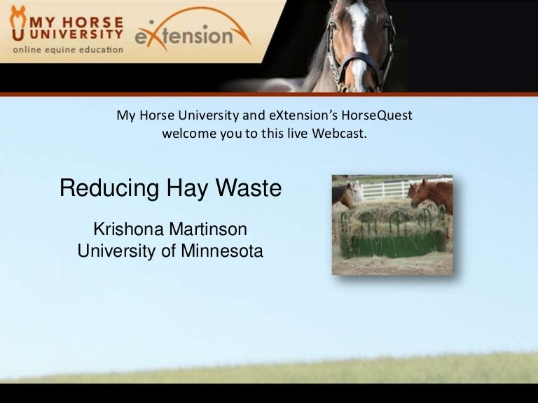 Reducing Hay Waste Martinson