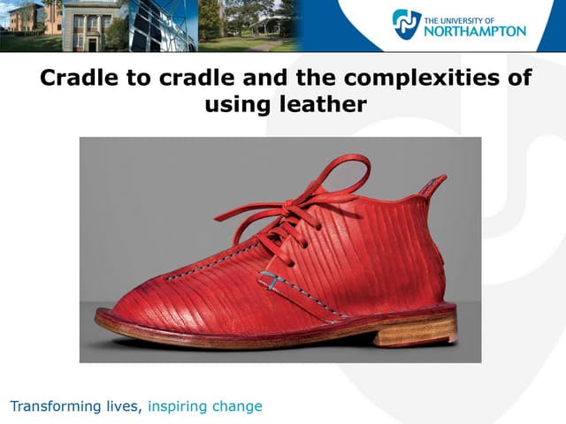 Redwood Cradle to cradle Innov_ex 09 