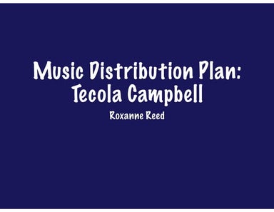 Artist Music Distribution Plan - Midterm Project