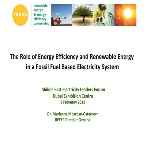 REEEP presentation at Middle East Electricity Leaders Forum