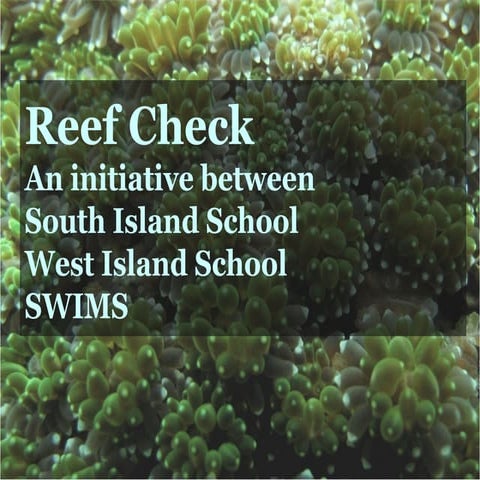 Reef Check HK Presentation | PPT