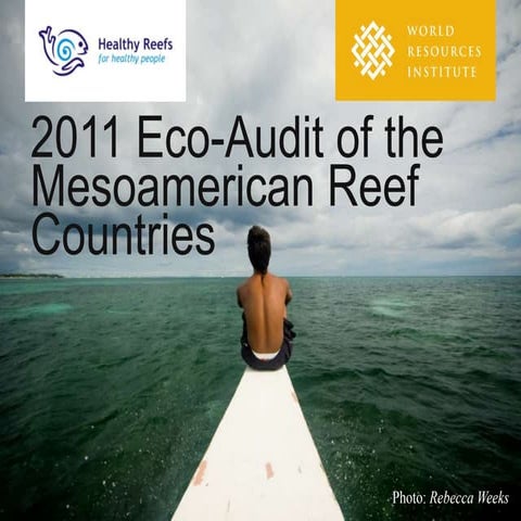 2011 Eco-Audit of Mesoamerica Reef Countries