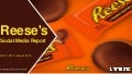 Reese's Social Media Analysis Q4 2015