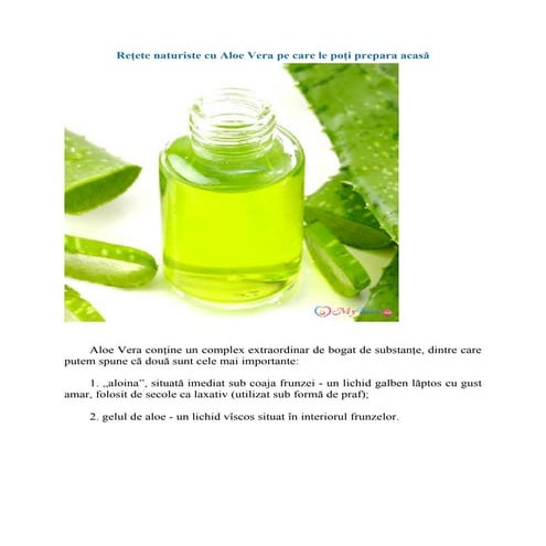 agave şurubu DULSWEET Organik Agave Şurubu 345 g – Vegan Dükkan main image 1