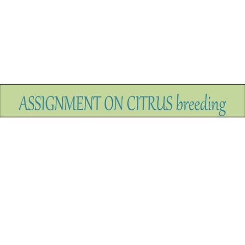 Reetika(j 19-m-656-citrus beeding