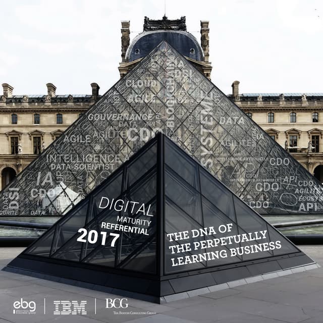 Referentiel 2017 : Digital Maturity in european corporate accounts
