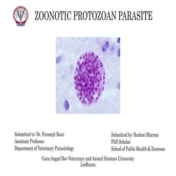 Zoonotic Protozoan disease