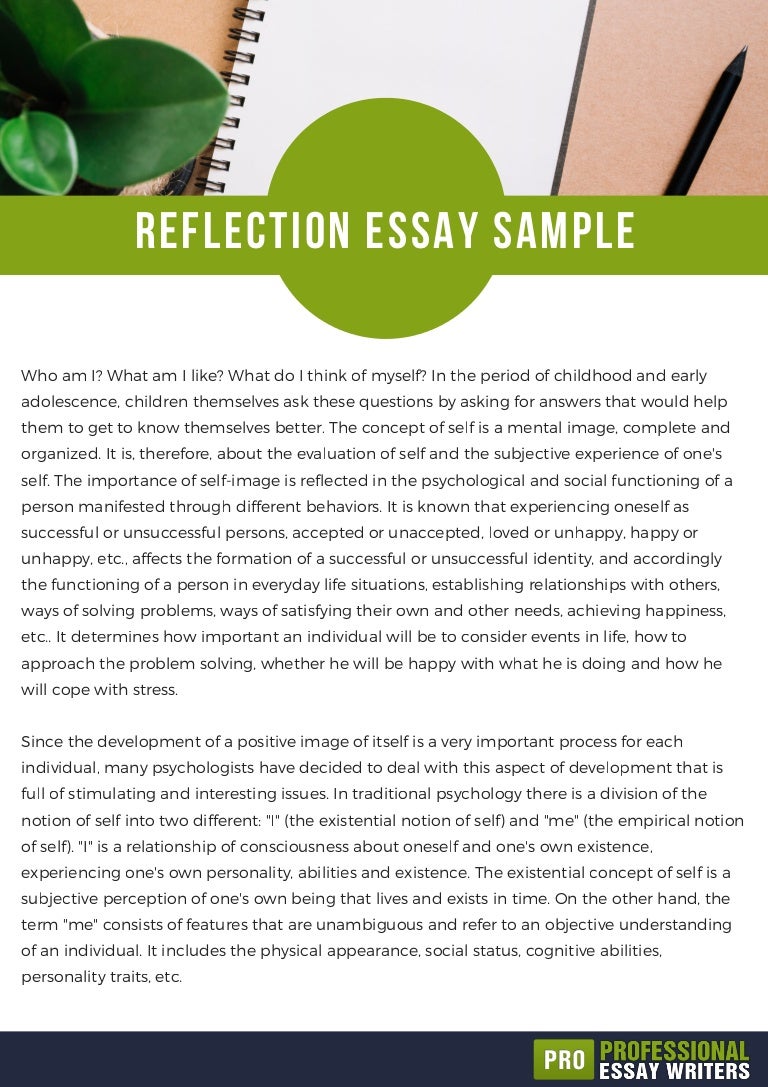 revision reflection essay