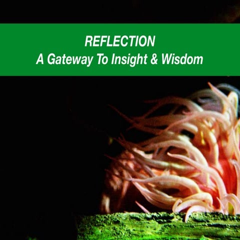Reflection: A Gateway to Insight & Wisdom, by Michael Mamas