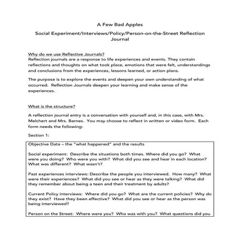 A Few Bad Apples: Reflection journal directions