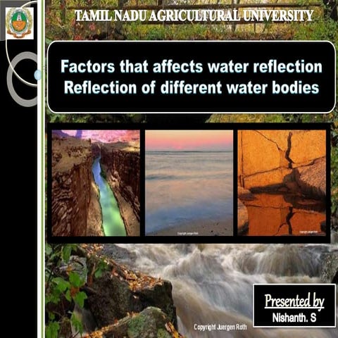 Reflection of water bodies