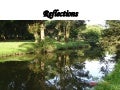 Reflections