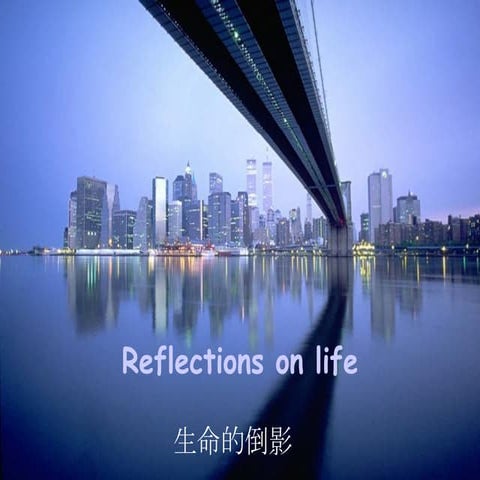 Reflections On Life | PPS