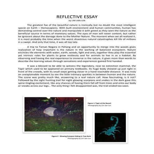 Reflective essay