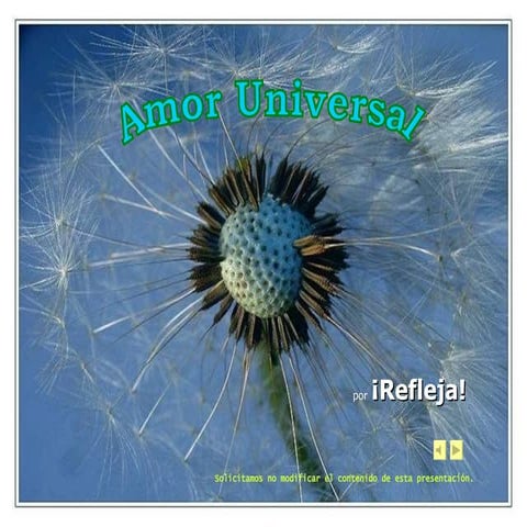 Refleja. Amor Universal.