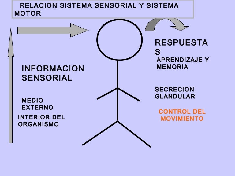 Teoria del reflejo marx